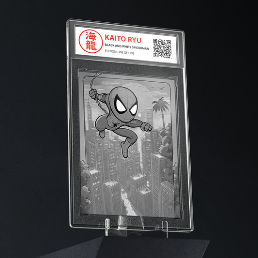 The Amazing Spiderman (Sold out)